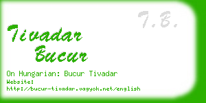 tivadar bucur business card